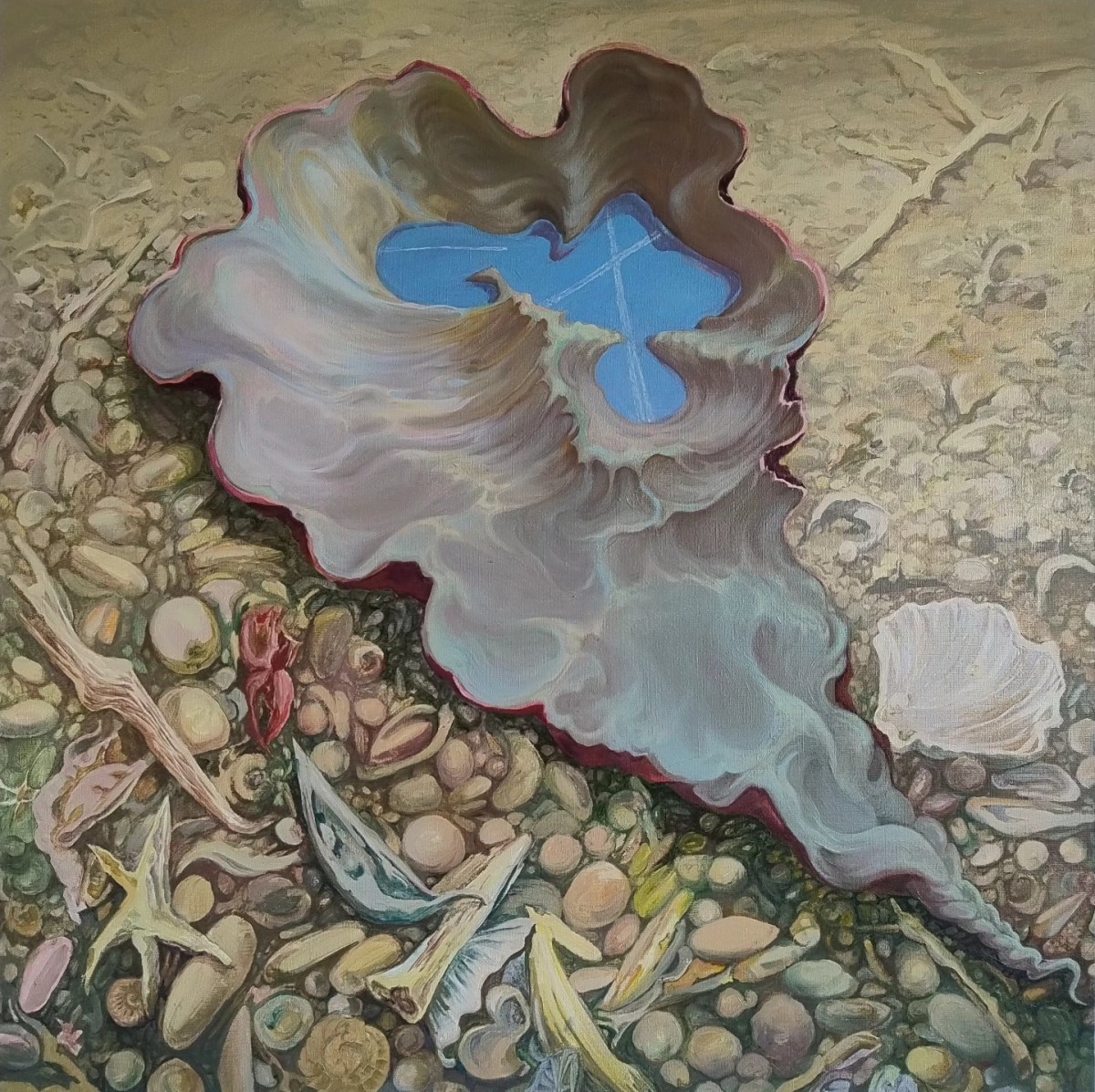 Skorupa — Sylwia Walczowska