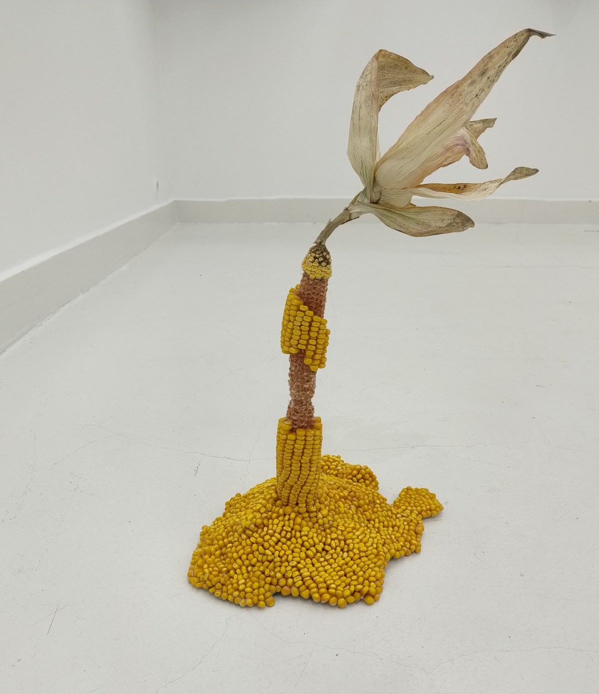 Obiekty przestrzenne · 13 — Sylwia Walczowska